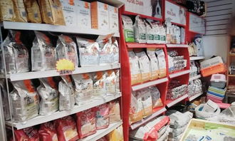 一站式寵物生活服務(wù) 美容、洗浴、配種與用品零售